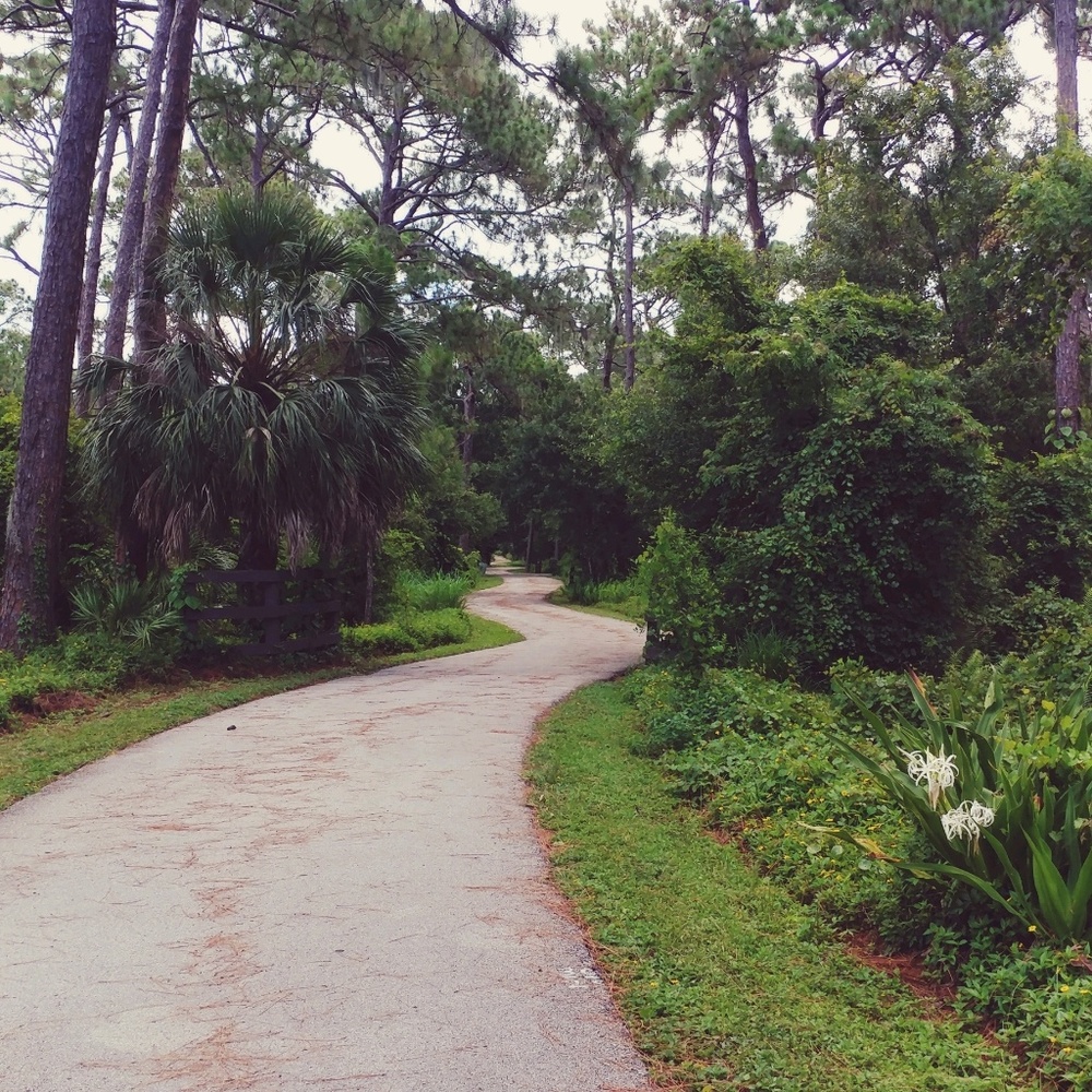 Meet your Posher, Mimi